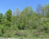 34.37 ACRES INDUSTRIAL PARK Road, Fairmont, West Virginia 26554, ,Lots/land,For Sale,INDUSTRIAL PARK,10126014