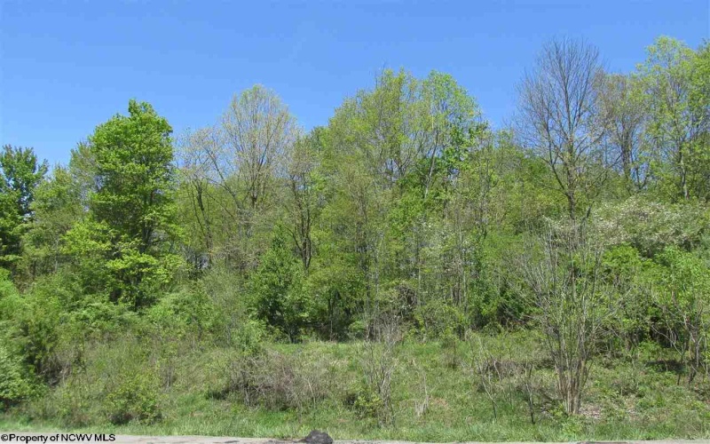 34.37 ACRES INDUSTRIAL PARK Road, Fairmont, West Virginia 26554, ,Lots/land,For Sale,INDUSTRIAL PARK,10126014