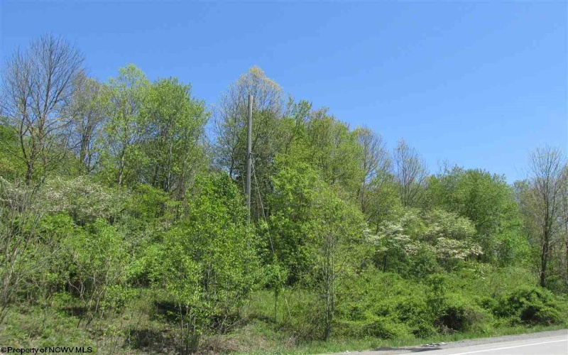 34.37 ACRES INDUSTRIAL PARK Road, Fairmont, West Virginia 26554, ,Lots/land,For Sale,INDUSTRIAL PARK,10126014