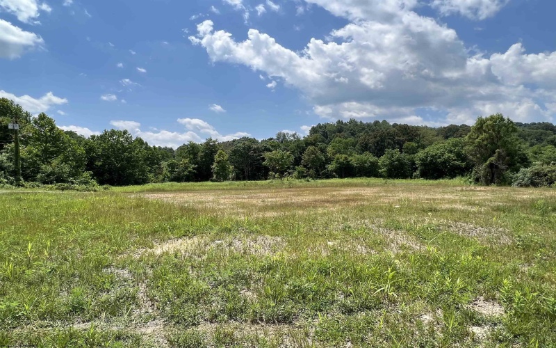 32.60 ACRES MIDDLETOWN Road, Fairmont, West Virginia 26554, ,Lots/land,For Sale,MIDDLETOWN,10126016