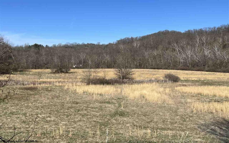 32.60 ACRES MIDDLETOWN Road, Fairmont, West Virginia 26554, ,Lots/land,For Sale,MIDDLETOWN,10126016