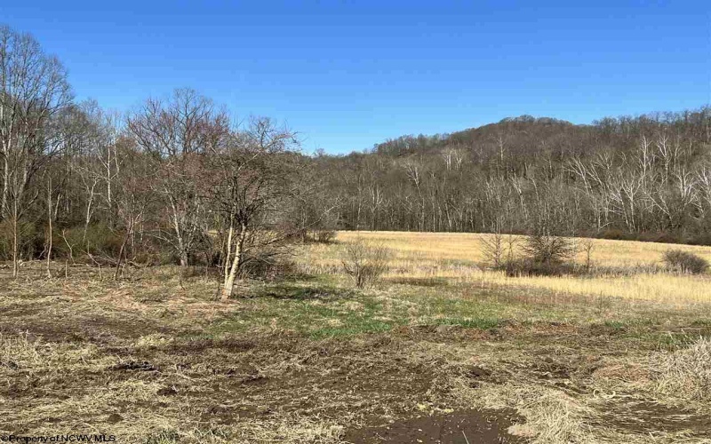 32.60 ACRES MIDDLETOWN Road, Fairmont, West Virginia 26554, ,Lots/land,For Sale,MIDDLETOWN,10126016