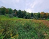 Lot 24 Hickory Flats Road, Dryfork, West Virginia 26263, ,Lots/land,For Sale,Hickory Flats,10156650