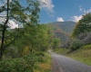 Lot 24 Hickory Flats Road, Dryfork, West Virginia 26263, ,Lots/land,For Sale,Hickory Flats,10156650