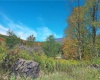 Lot 24 Hickory Flats Road, Dryfork, West Virginia 26263, ,Lots/land,For Sale,Hickory Flats,10156650