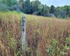 Lot 24 Hickory Flats Road, Dryfork, West Virginia 26263, ,Lots/land,For Sale,Hickory Flats,10156650