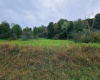 Lot 24 Hickory Flats Road, Dryfork, West Virginia 26263, ,Lots/land,For Sale,Hickory Flats,10156650