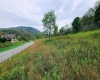 Lot 24 Hickory Flats Road, Dryfork, West Virginia 26263, ,Lots/land,For Sale,Hickory Flats,10156650