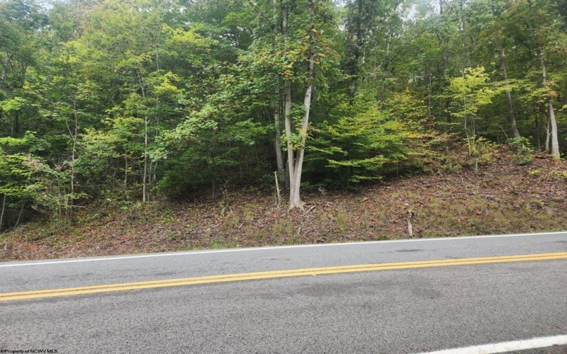 0 WV 47W Highway, Coxs Mill, West Virginia 26342, ,Lots/land,For Sale,WV 47W,10156668