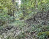 TBD Little Mill Fall Run Road, Fairmont, West Virginia 26554, ,Lots/land,For Sale,Little Mill Fall Run,10156682