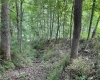 TBD Little Mill Fall Run Road, Fairmont, West Virginia 26554, ,Lots/land,For Sale,Little Mill Fall Run,10156682