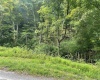 TBD Little Mill Fall Run Road, Fairmont, West Virginia 26554, ,Lots/land,For Sale,Little Mill Fall Run,10156682