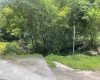 TBD Little Mill Fall Run Road, Fairmont, West Virginia 26554, ,Lots/land,For Sale,Little Mill Fall Run,10156682