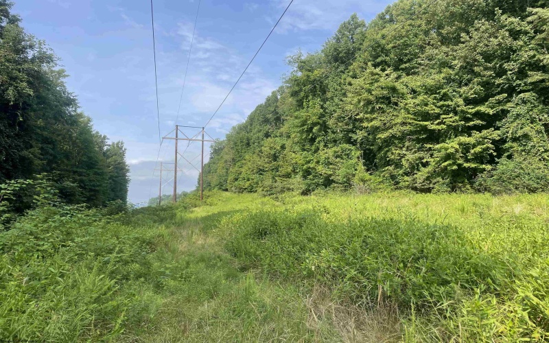 TBD Little Mill Fall Run Road, Fairmont, West Virginia 26554, ,Lots/land,For Sale,Little Mill Fall Run,10156682