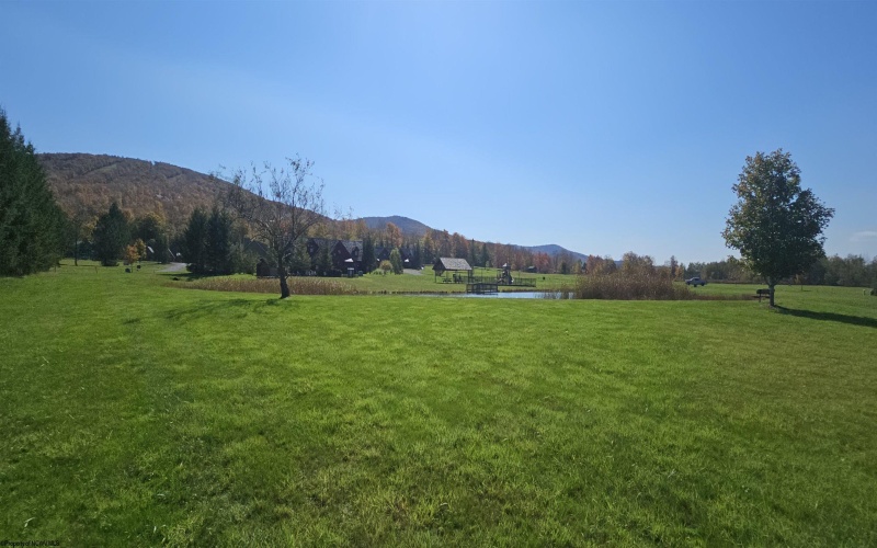 Lot 13 Katy Lane, Davis, West Virginia 26260, ,Lots/land,For Sale,Katy,10156695