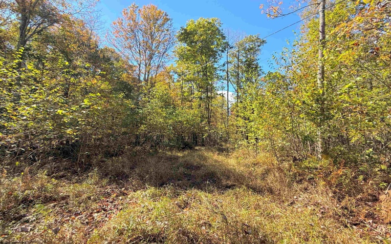 TBD DENNIS Road, Bruceton Mills, West Virginia 26525, ,Lots/land,For Sale,DENNIS,10156698