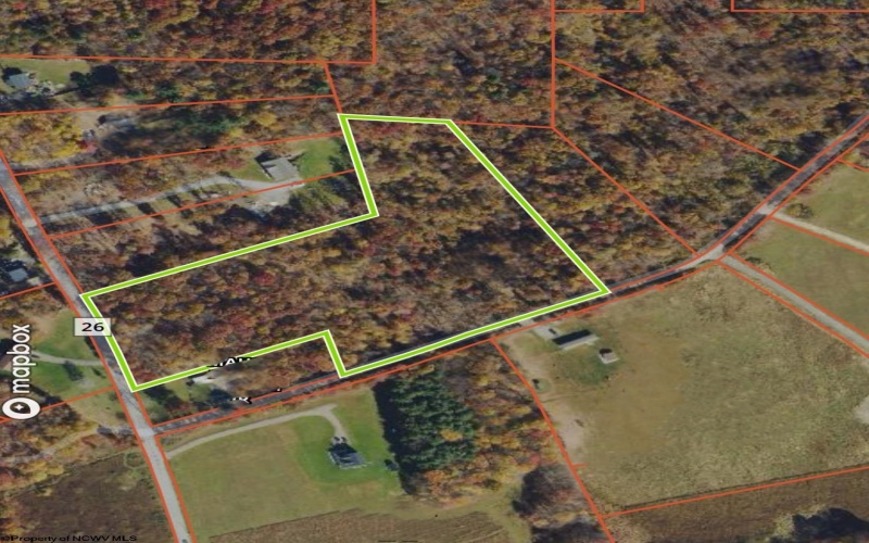 TBD DENNIS Road, Bruceton Mills, West Virginia 26525, ,Lots/land,For Sale,DENNIS,10156698