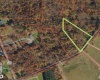 TBD DENNIS Road, Bruceton Mills, West Virginia 26525, ,Lots/land,For Sale,DENNIS,10156698