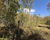 TBD DENNIS Road, Bruceton Mills, West Virginia 26525, ,Lots/land,For Sale,DENNIS,10156698