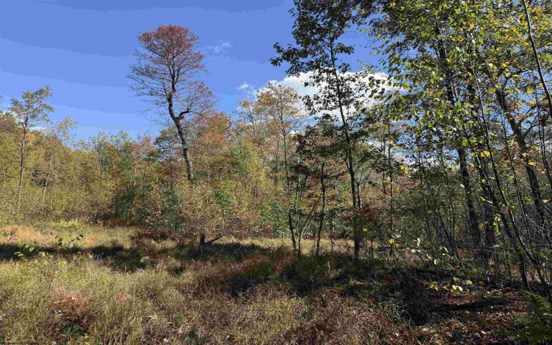 TBD DENNIS Road, Bruceton Mills, West Virginia 26525, ,Lots/land,For Sale,DENNIS,10156698