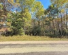 TBD DENNIS Road, Bruceton Mills, West Virginia 26525, ,Lots/land,For Sale,DENNIS,10156698