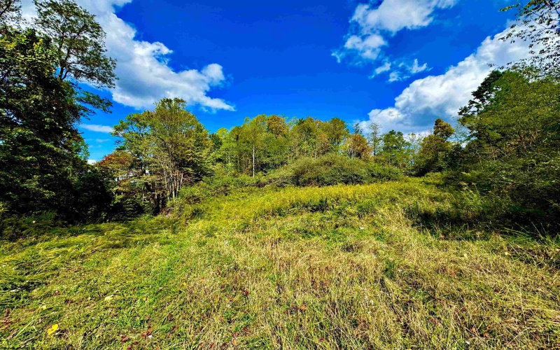 TBD Webster Road, Webster Springs, West Virginia 26288, ,Lots/land,For Sale,Webster,10156700