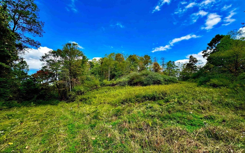 TBD Webster Road, Webster Springs, West Virginia 26288, ,Lots/land,For Sale,Webster,10156700