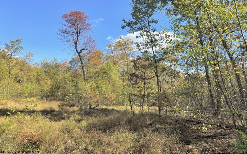 TBD BERGER Road, Bruceton Mills, West Virginia 26525, ,Lots/land,For Sale,BERGER,10156702