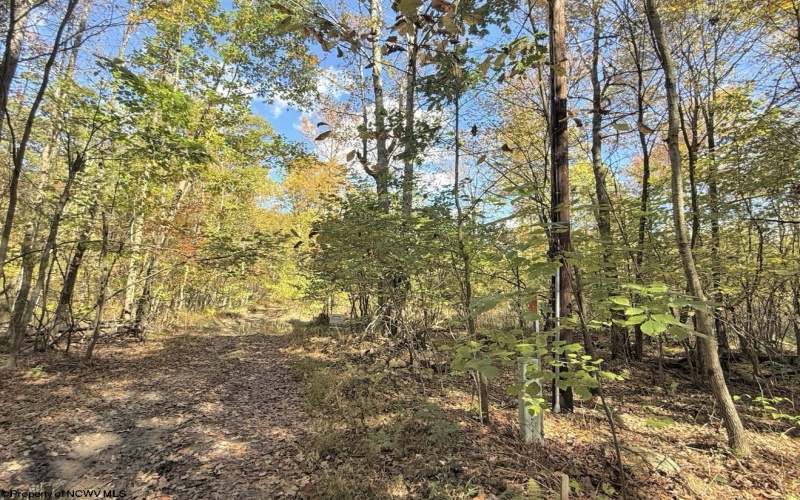 TBD BERGER Road, Bruceton Mills, West Virginia 26525, ,Lots/land,For Sale,BERGER,10156702