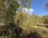 TBD BERGER Road, Bruceton Mills, West Virginia 26525, ,Lots/land,For Sale,BERGER,10156702