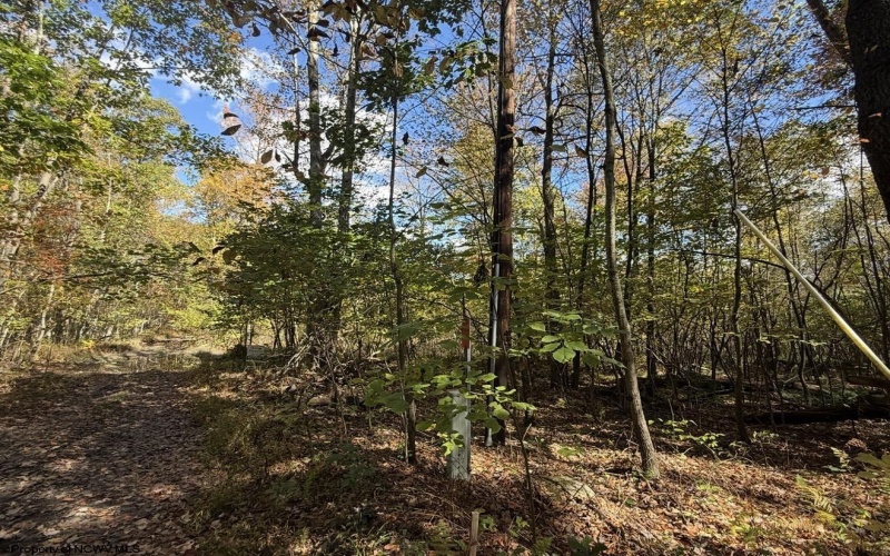 TBD BERGER Road, Bruceton Mills, West Virginia 26525, ,Lots/land,For Sale,BERGER,10156702