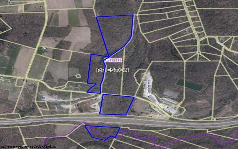 TBD MOYERS Road, Bruceton Mills, West Virginia 26525, ,Lots/land,For Sale,MOYERS,10156703