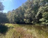 TBD MOYERS Road, Bruceton Mills, West Virginia 26525, ,Lots/land,For Sale,MOYERS,10156703