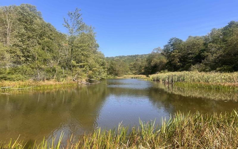 TBD MOYERS Road, Bruceton Mills, West Virginia 26525, ,Lots/land,For Sale,MOYERS,10156703