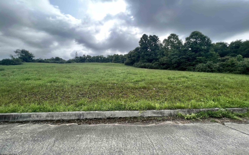 Lot 39 Birch Street, Grafton, West Virginia 26354, ,Lots/land,For Sale,Birch,10150929