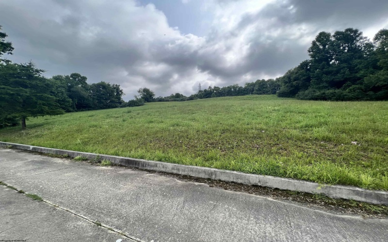 Lot 39 Birch Street, Grafton, West Virginia 26354, ,Lots/land,For Sale,Birch,10150929