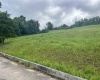 Lot 40 Birch Street, Grafton, West Virginia 26354, ,Lots/land,For Sale,Birch,10150930