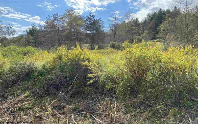 lot 47 Mountain View Circle, Davis, West Virginia 26260, ,Lots/land,For Sale,Mountain View,10140219