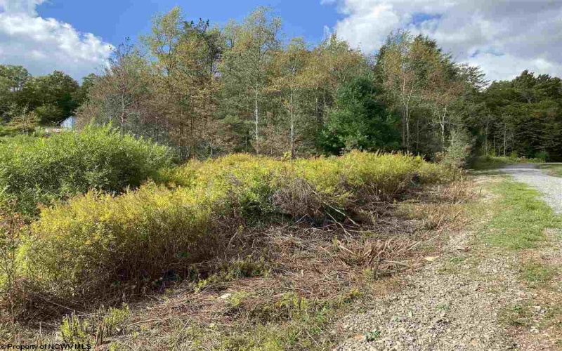 lot 47 Mountain View Circle, Davis, West Virginia 26260, ,Lots/land,For Sale,Mountain View,10140219
