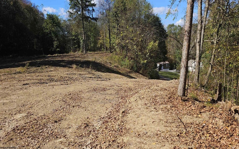 0 Foxwood Drive, Albright, West Virginia 26519, ,Lots/land,For Sale,Foxwood,10156724