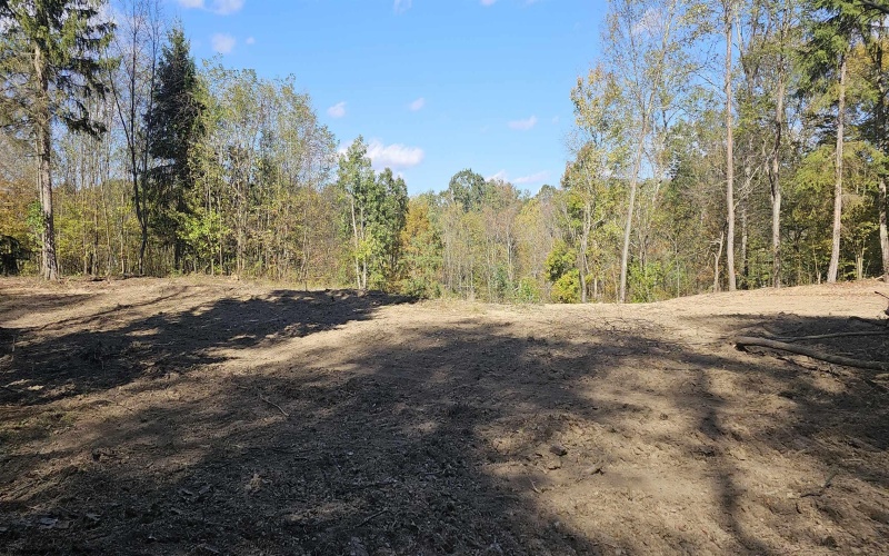 0 Foxwood Drive, Albright, West Virginia 26519, ,Lots/land,For Sale,Foxwood,10156724