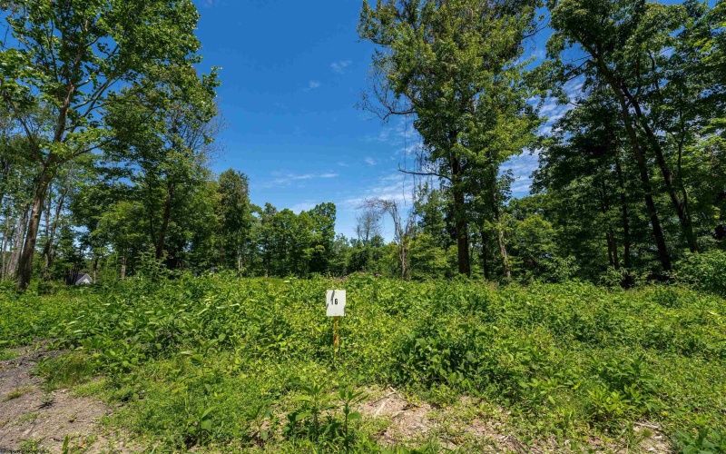 Lot 16 Bowers Lane, Morgantown, West Virginia 26508, ,Lots/land,For Sale,Bowers,10156726