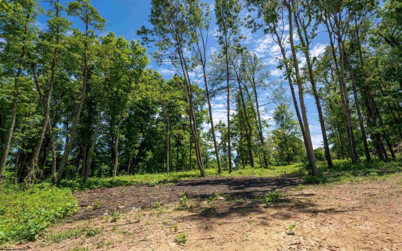 Lot 16 Bowers Lane, Morgantown, West Virginia 26508, ,Lots/land,For Sale,Bowers,10156726