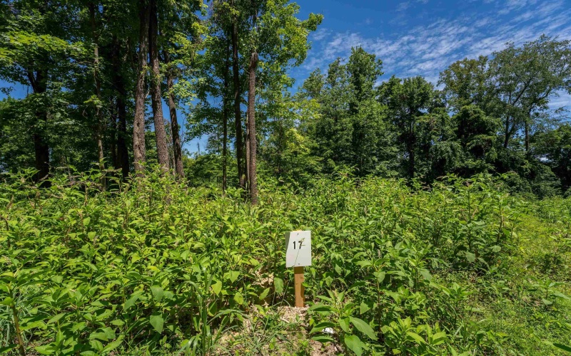 Lot 17 Bowers Lane, Morgantown, West Virginia 26508, ,Lots/land,For Sale,Bowers,10156727