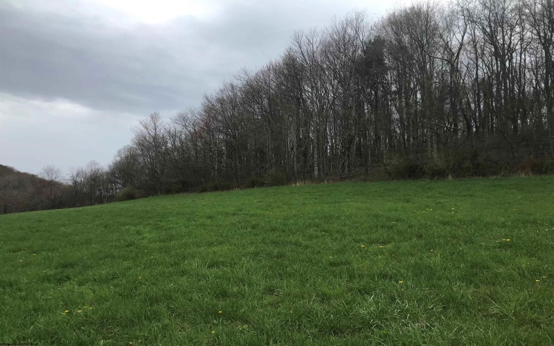 B Sunny Hill Road, Masontown, West Virginia 26542, ,Lots/land,For Sale,Sunny Hill,10153753