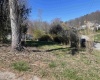 218 Academy Street, Buckhannon, West Virginia 26201, ,Lots/land,For Sale,Academy,10153532