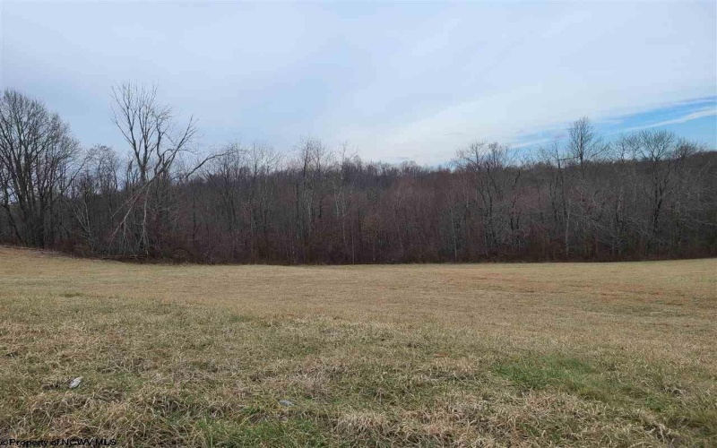 Lot 11 High Meadows Drive, Moatsville, West Virginia 26405, ,Lots/land,For Sale,High Meadows,10156798