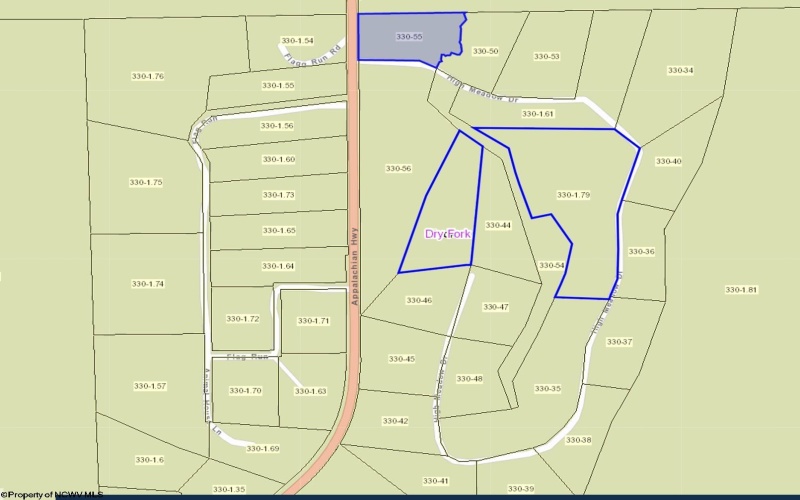 TBD Rte. 32 Highway, Davis, West Virginia 26260, ,Lots/land,For Sale,Rte. 32,10156814