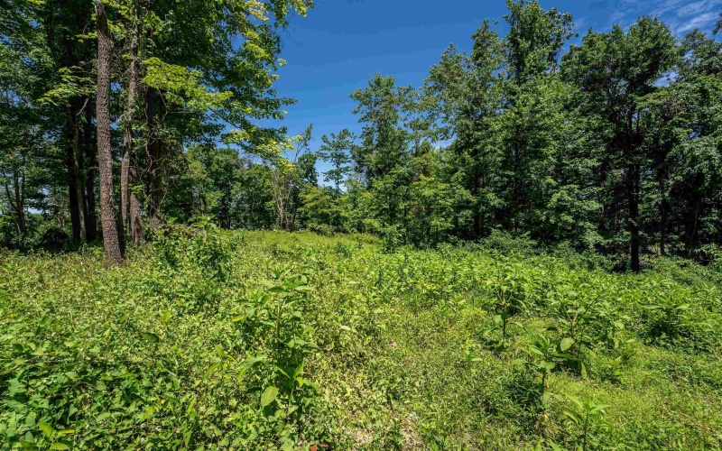 Lot 18 Bowers Lane, Morgantown, West Virginia 26508, ,Lots/land,For Sale,Bowers,10156818