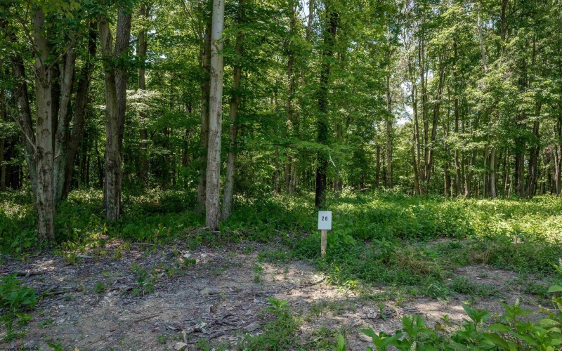 Lot 20 Bowers Lane, Morgantown, West Virginia 26508, ,Lots/land,For Sale,Bowers,10156820